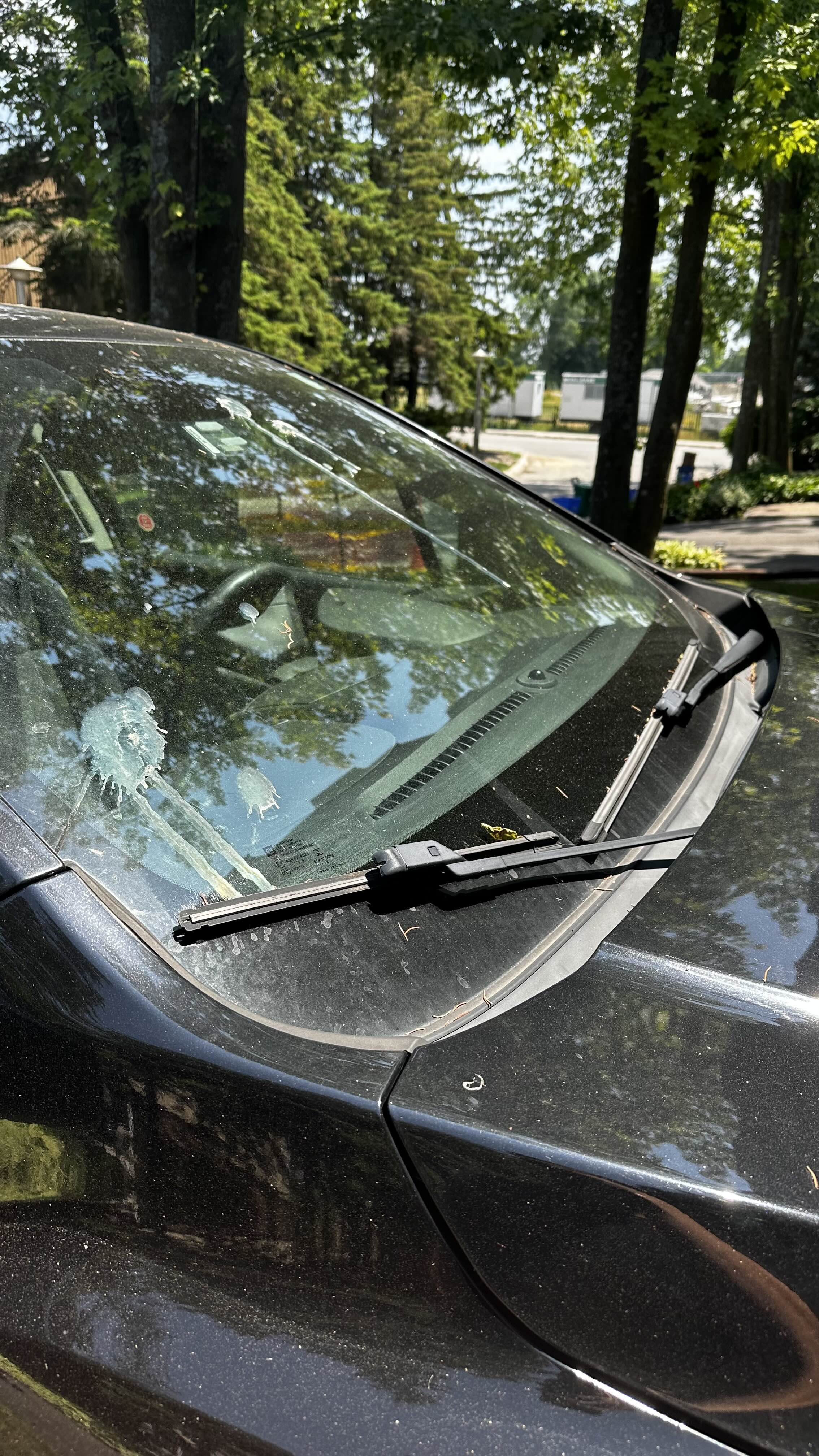 Side & front quarter — before